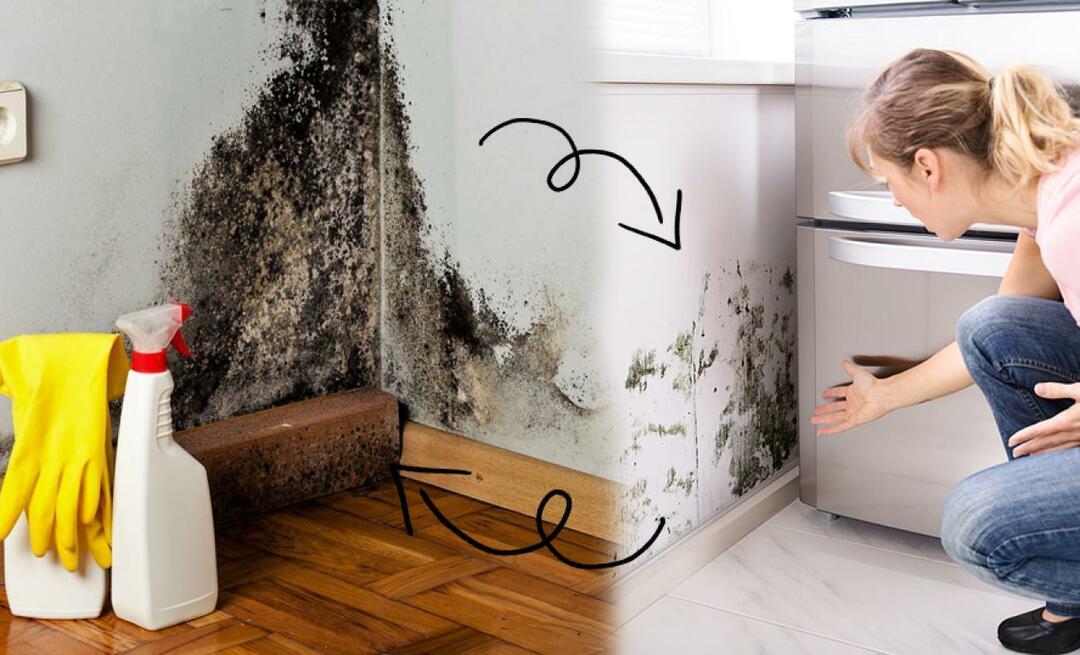 Πώς να εξαλείψετε την υγρασία στο σπίτι; Πώς να αποτρέψετε την υγρασία; Πώς καθαρίζεται καλύτερα η υγρασία;