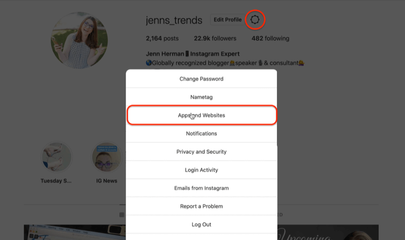 instagram προφίλ εικονίδιο γραναζιού επεξεργασία ρυθμίσεων επιλογές μενού επισημαίνοντας την επιλογή εφαρμογών και ιστότοπων