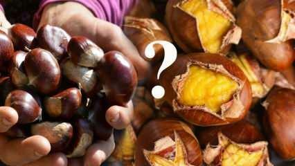 Πόσες θερμίδες έχουν τα κάστανα; Ποια είναι τα οφέλη των κάστανων; Μπορούν να καταναλωθούν τα κάστανα σε δίαιτα;