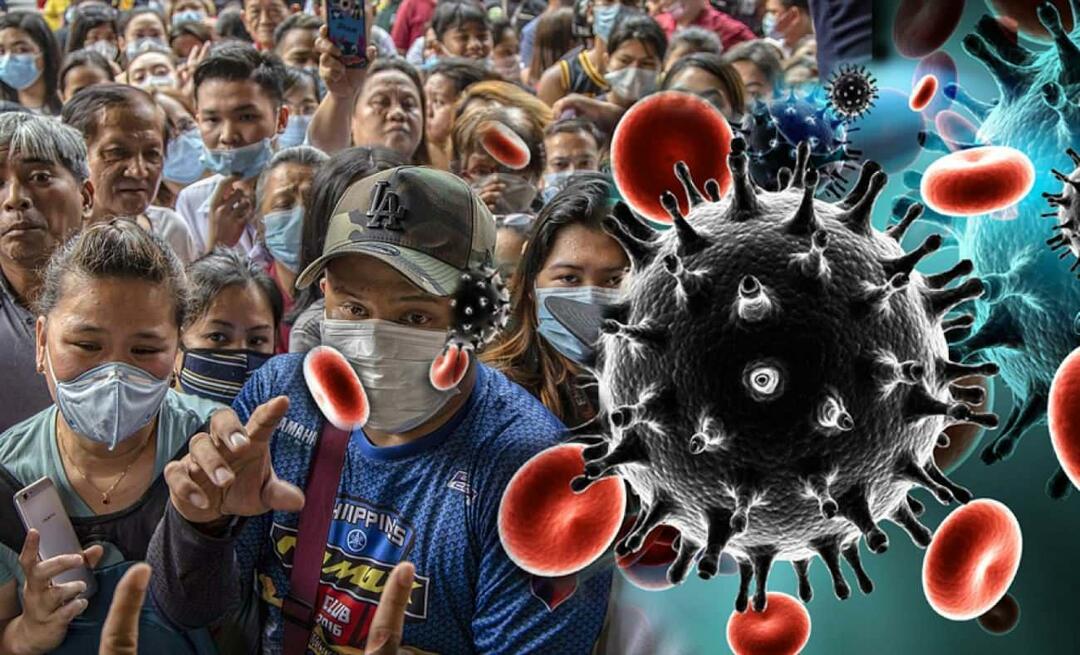 Ο τρομακτικός ιός εξήγησε ο ειδικός της γρίπης! Ποια είναι η διαφορά μεταξύ της γρίπης και του Covid-19; 