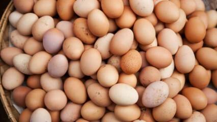 Τι πρέπει να λαμβάνεται υπόψη κατά την επιλογή ενός αυγού;
