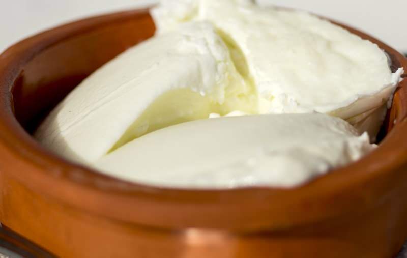 Ποια είναι τα οφέλη του γιαουρτιού βουβάλου; Πώς να φτιάξετε γιαούρτι βουβάλου και σε τι χρησιμεύει;