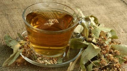 Ποια είναι τα οφέλη της φιάλης; Ποιες ασθένειες είναι καλές; Πώς να φτιάξετε τσάι από τσάι;