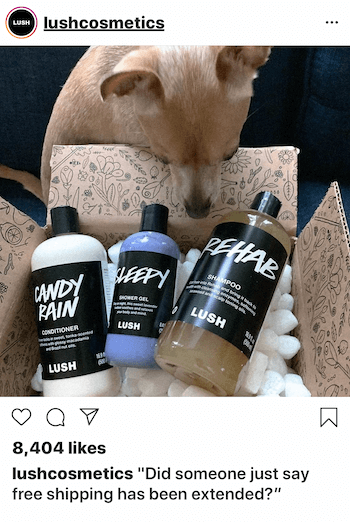 Επαγγελματική ανάρτηση Instagram με σκύλο