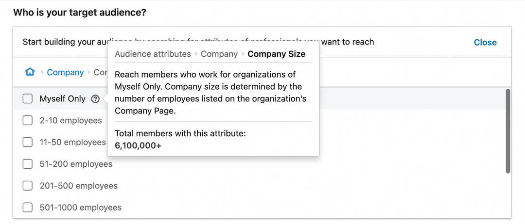 how-to-use-targeting-get-in-front-of-competitor-audiences-on-linkedin-company-size-step-18