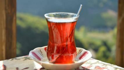 Πώς μπορείτε να καταλάβετε εάν το τσάι είναι καλής ποιότητας; Τρόποι για να κατανοήσετε την ποιότητα του τσαγιού