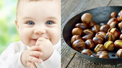 Ο Saraçoğlu εξήγησε τα οφέλη του καστανιού! Πόσα μηνιαία μωρά μπορεί να φάει κάστανα; Κάνει καστανιές το αέριο στο μωρό;