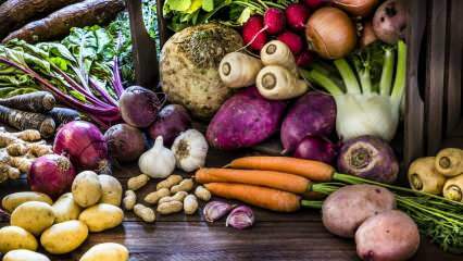 Ποια είναι τα λαχανικά ρίζας; Ποια είναι τα οφέλη των ριζικών λαχανικών;